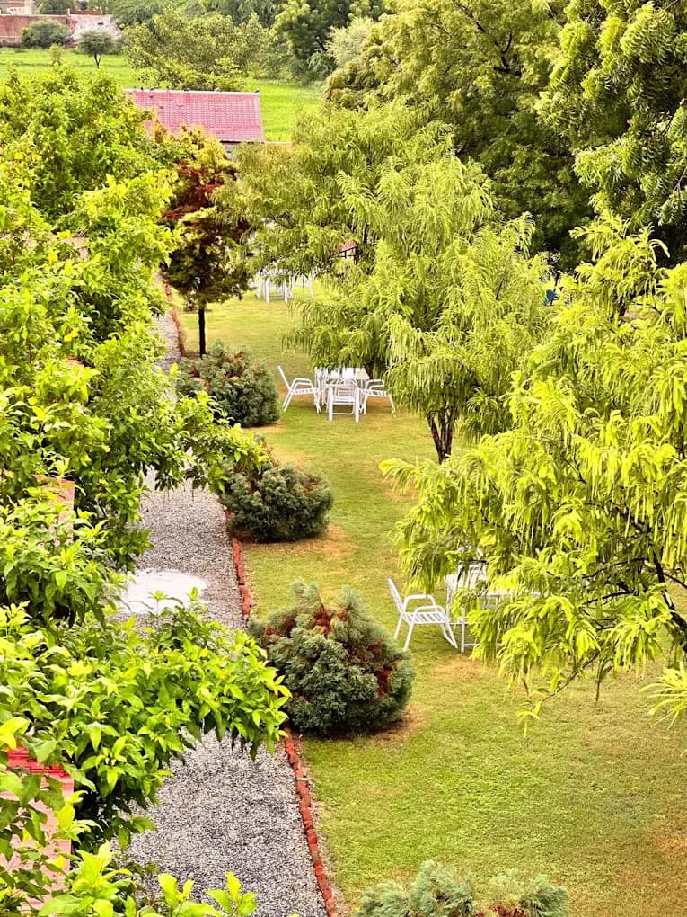 Garden paths and lawn seating