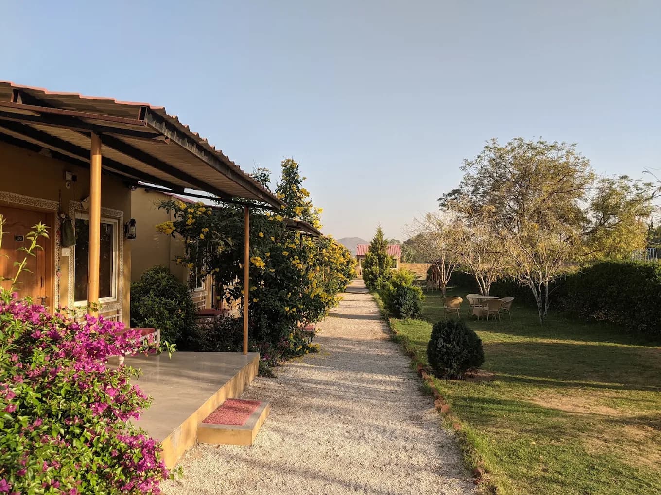 Garden path with bougainvillea